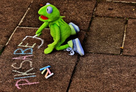 Frog chalk paint photo