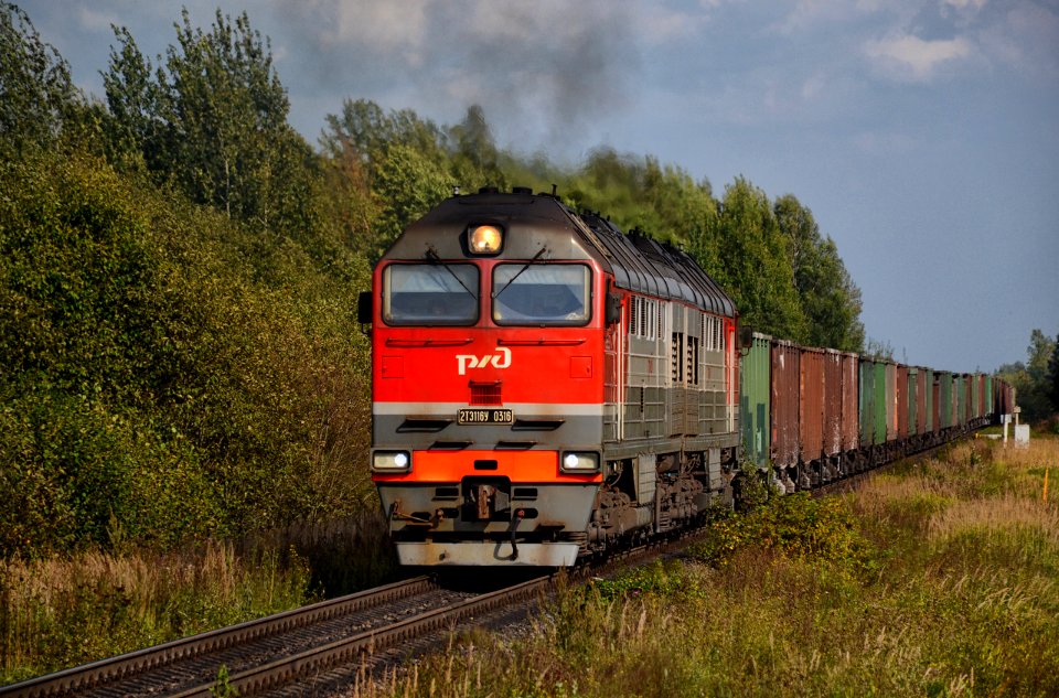 2ТЭ116У-0316,_Russia,_Pskov_region,_Vorobetskaya_-_Gushino_stretch_(Trainpix_175199)
