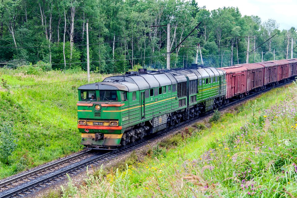 2ТЭ116-246,_Russia,_Moscow_region,_Blagoveshchenskoye_-_Volokolamsk_stretch_(Trainpix_147648)