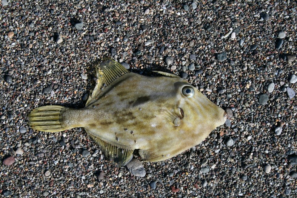 Fishing vacations sand