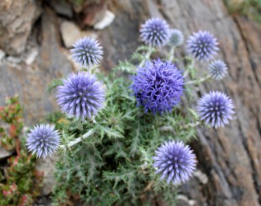 256-Parc_Cap_de_Creus
