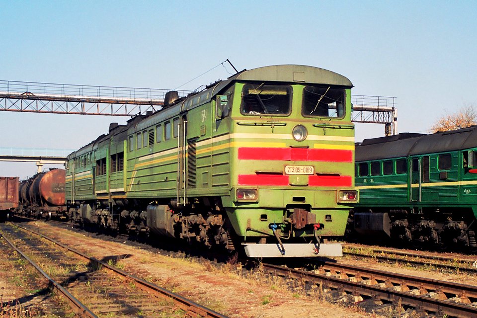 2ТЭ10У-0169,_Belarus,_Brest_region,_Luninets_station_(Trainpix_150281)