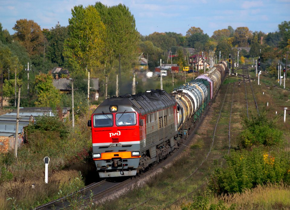 2ТЭ116У-0315,_Russia,_Pskov_region,_Velikiye_Luki_-_Vorobetskaya_stretch_(Trainpix_144085)