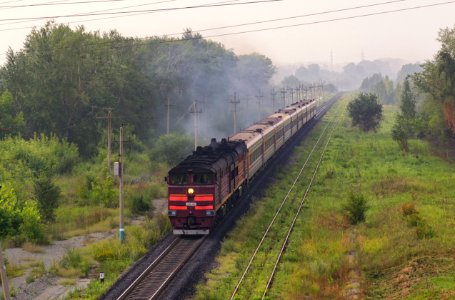 2ТЭ10У-0182,_Россия,_Челябинская_область,_перегон_Шагол_-_Электростанция_(Trainpix_171406)