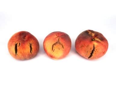 3_x_Cracked_nectarine_2017_A