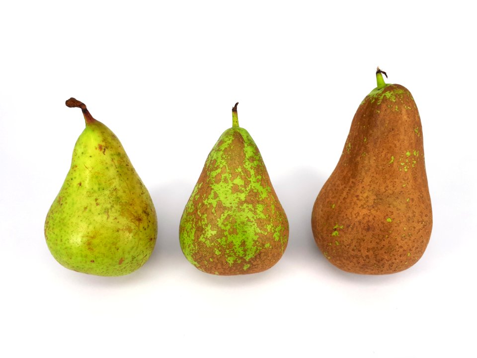 3_x_Conference_pear_2017_A