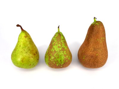 3_x_Conference_pear_2017_A