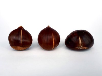 3_x_Cracked_chestnut_2017_A