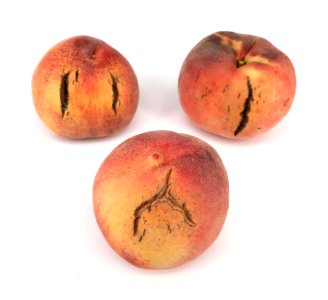 3_x_Cracked_nectarine_2017_B