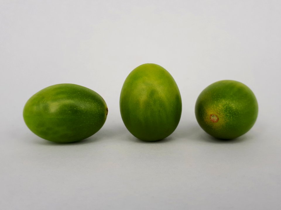 3_x_Cherry_Dulcemiel_tomato_2017_A3