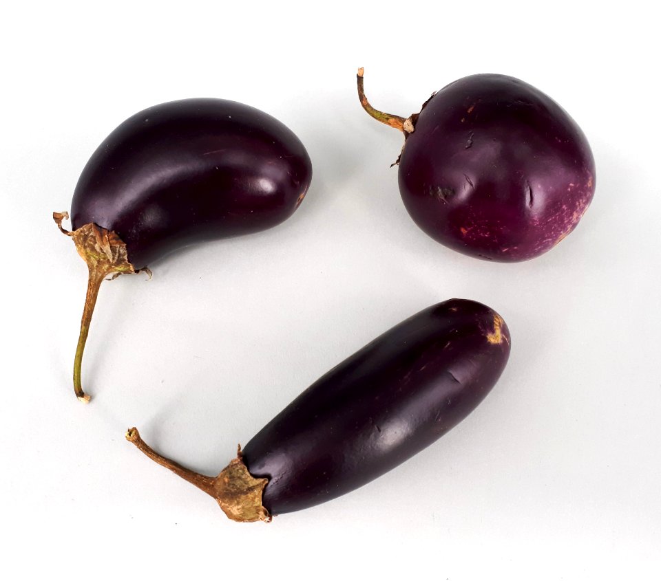 3_x_Small_eggplant_2017_C1