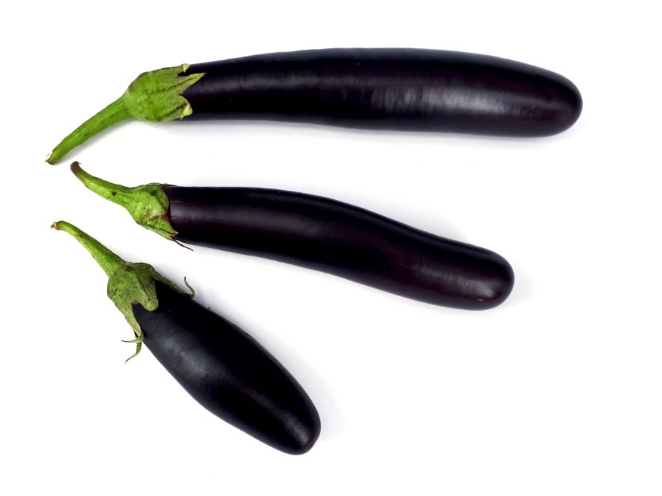 3_x_Orient_Express_eggplant_2017_A1