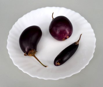 3_x_Small_eggplant_2017_D