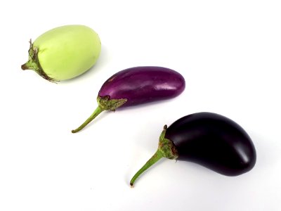 3_x_Small_eggplant_2017_A2
