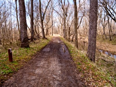 32_Mile_Mark_on_C_and_O_Canal_above_Edwards_Ferry