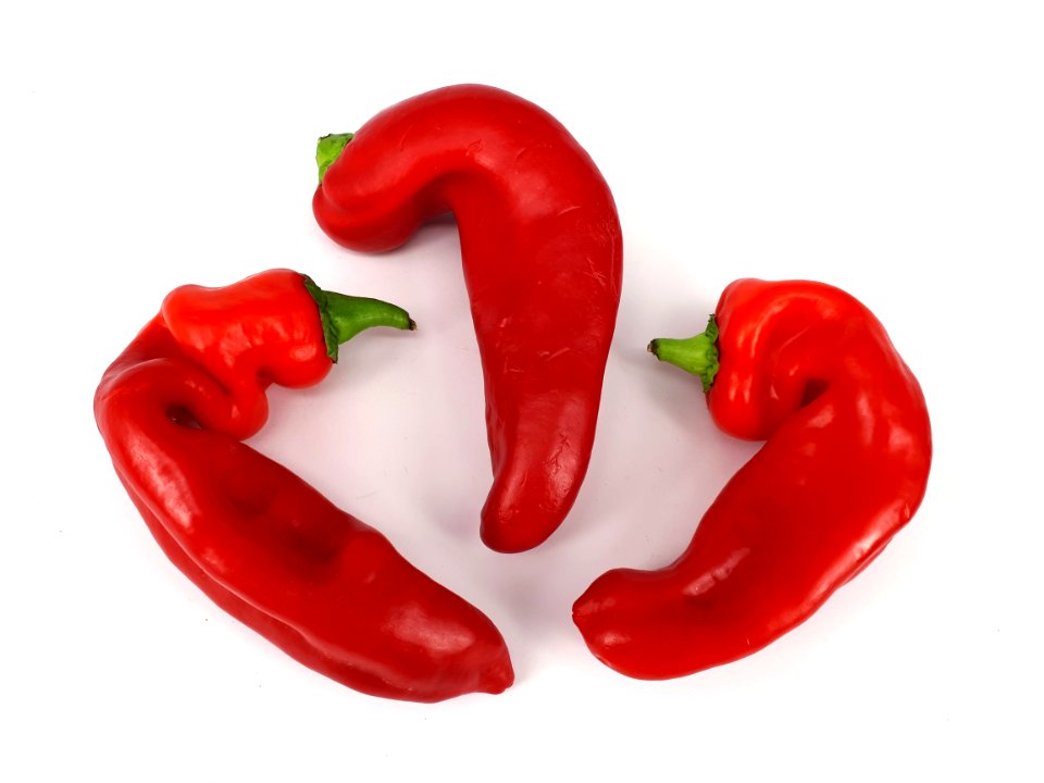 3_x_Bent_red_capsicum_2017_A2