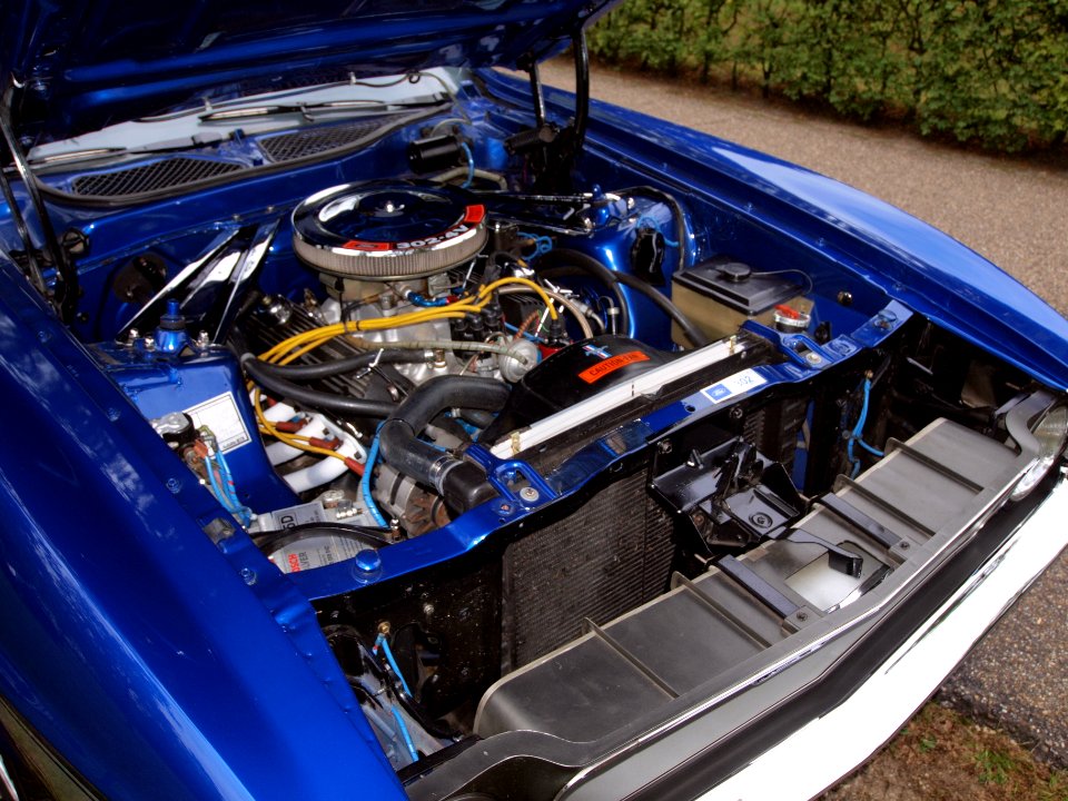 34-39-RJ_Ford_mustang_(1970)_at_the_Autotron_Oldtimer_meeting_2010,_Rosmalen,_The_Netherlands_p7