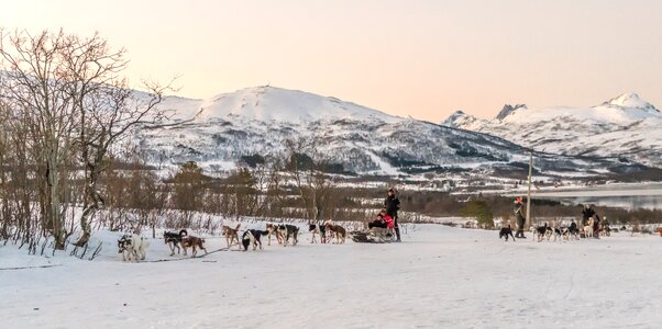 Mountains landscape snow photo