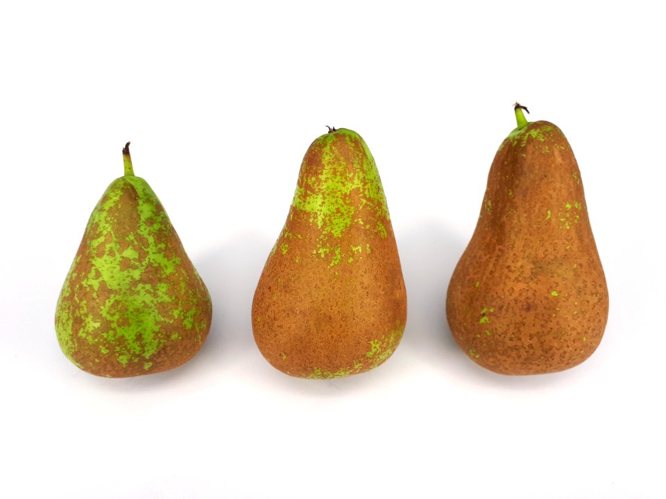 3_x_Conference_pear_2017_C
