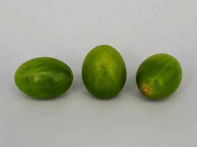 3_x_Cherry_Dulcemiel_tomato_2017_A4