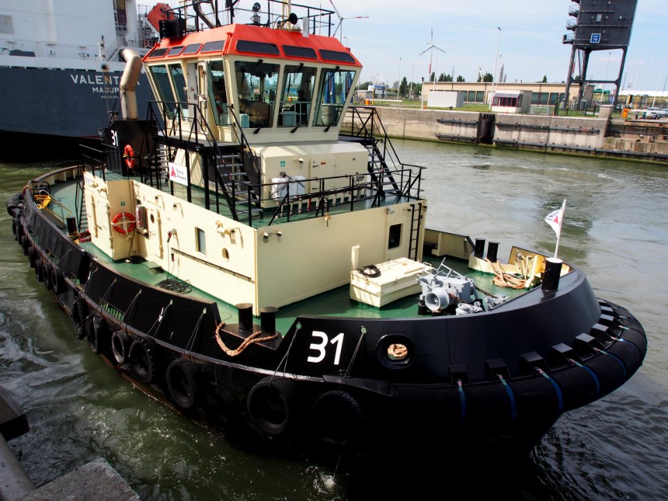31_tugboat_-_IMO_9684031_-_ENI_06105142,_Berendrechtsluis,_Port_of_Antwerp_pic5