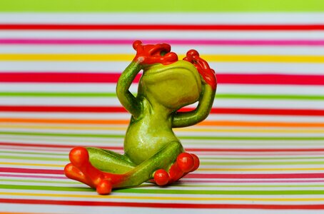 Funny cute fun