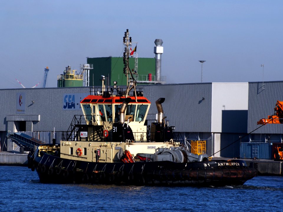 31_(tugboat,_2011)_-_IMO_9684031_-_ENI_06105142,_Port_of_Antwerp_pic3