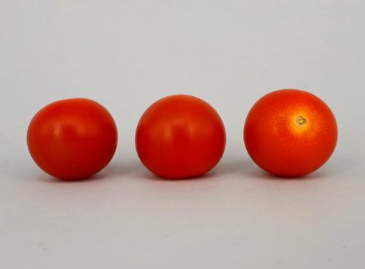 3_x_Cherry_Nebula_tomato_2017_A3