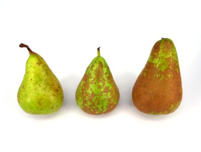 3_x_Conference_pear_2017_B