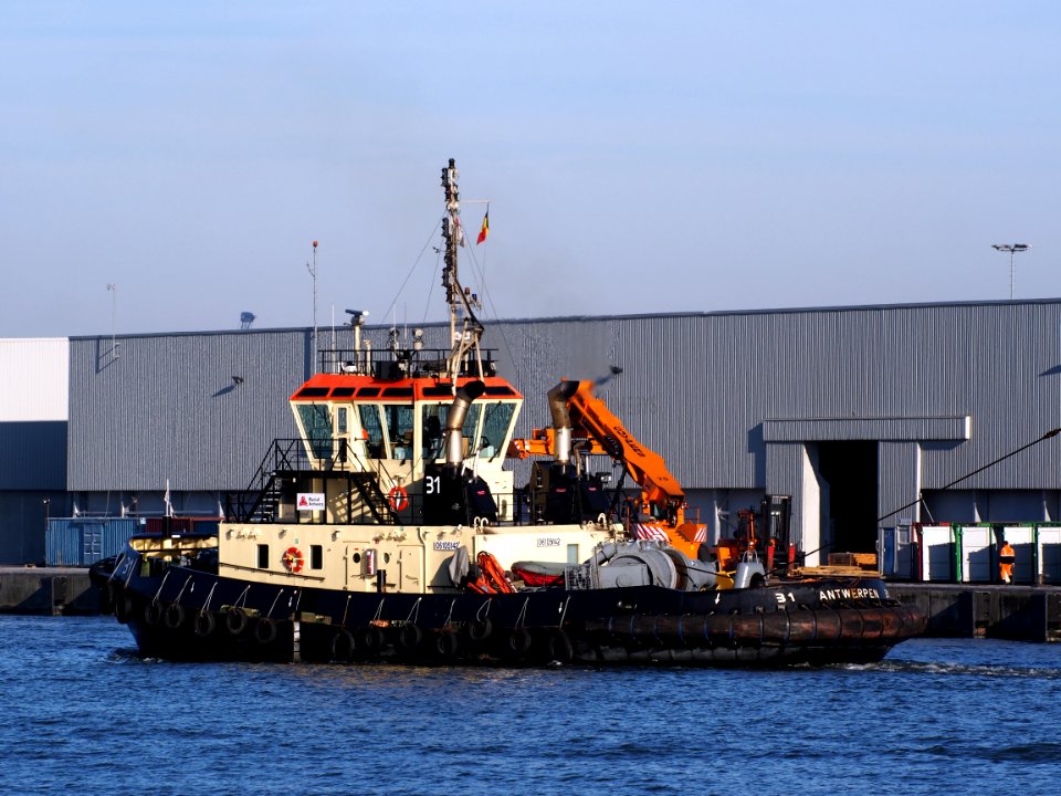 31_(tugboat,_2011)_-_IMO_9684031_-_ENI_06105142,_Port_of_Antwerp_pic2