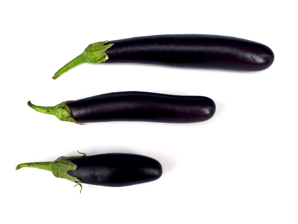 3_x_Orient_Express_eggplant_2017_A2