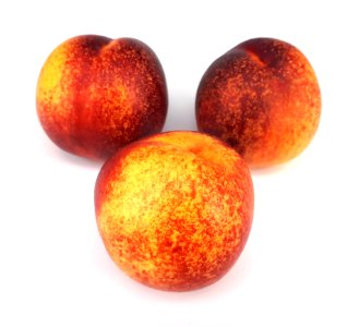 3_x_Spotted_nectarine_2017_A