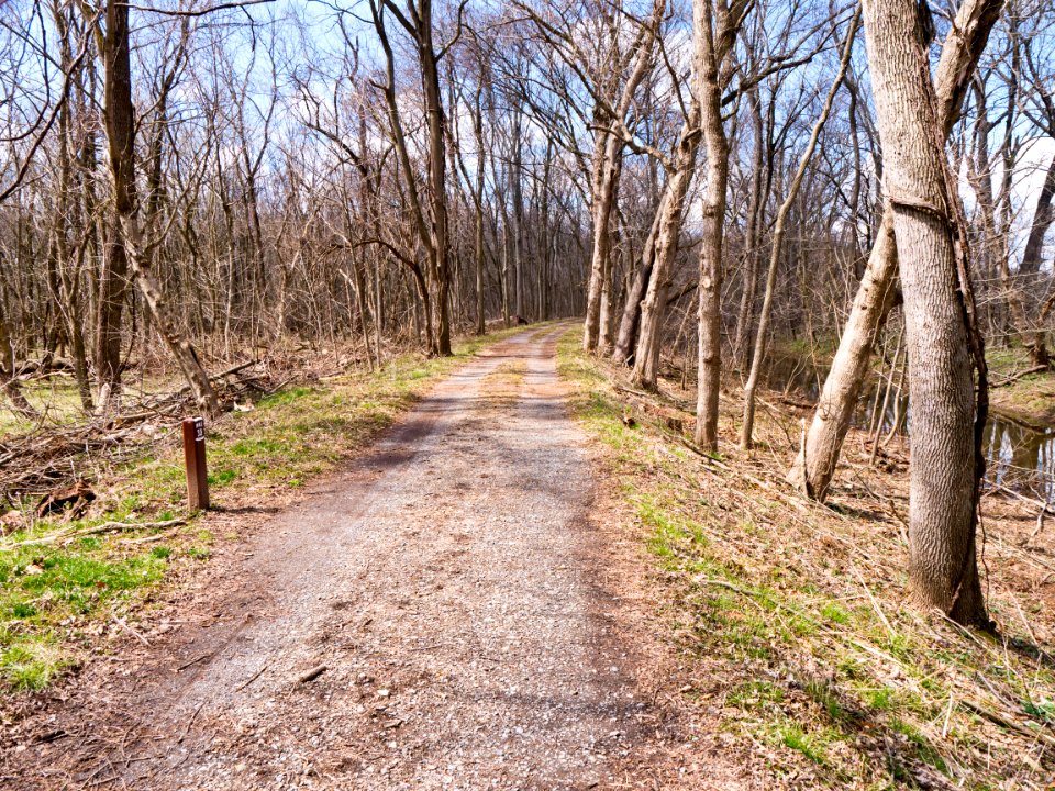 33_Mile_Marker_on_C_and_O_Canal_above_Edwards_Ferry