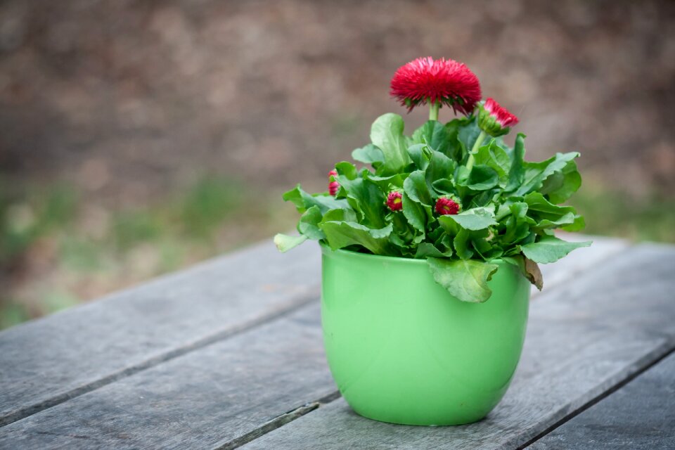 Bank nature plant