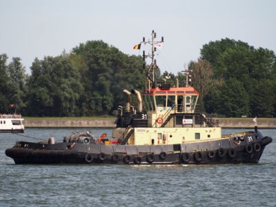 31_tugboat_-_IMO_9684031_-_ENI_06105142,_Berendrechtsluis,_Port_of_Antwerp_pic1 photo
