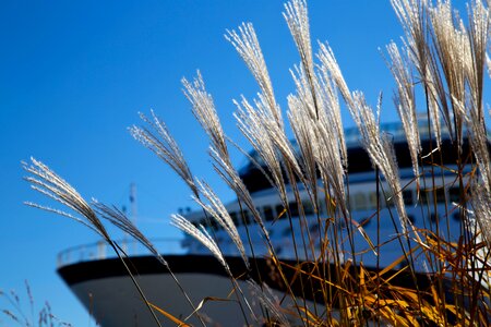 Boat water's edge cruise