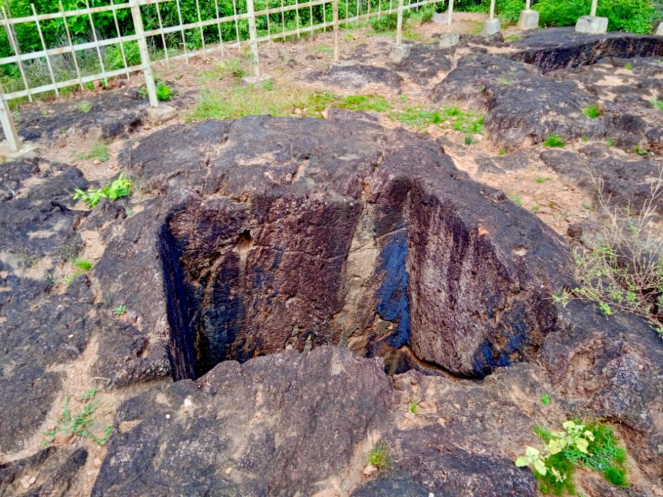 2nd_century_Buddhist_site,_well_and_inscriptions,_Kodavali_Andhra_Pradesh_-_15