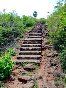 2nd_century_Buddhist_site,_Kodavali_Andhra_Pradesh_-_2