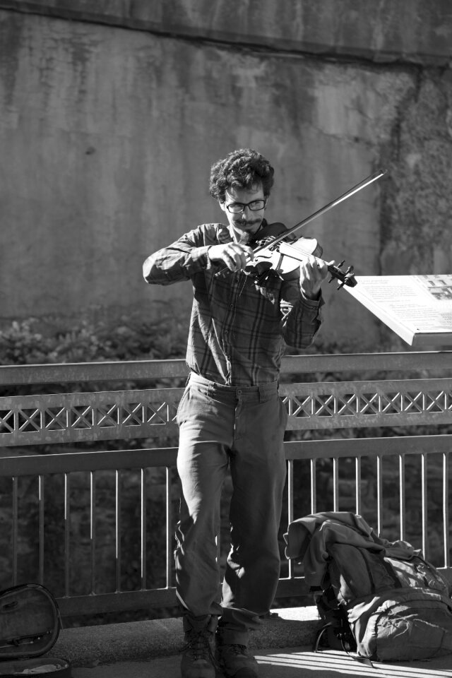 Musician violin street musician
