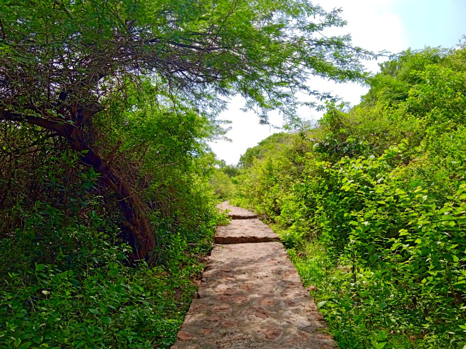 2nd_century_Buddhist_site,_Kodavali_Andhra_Pradesh_-_01