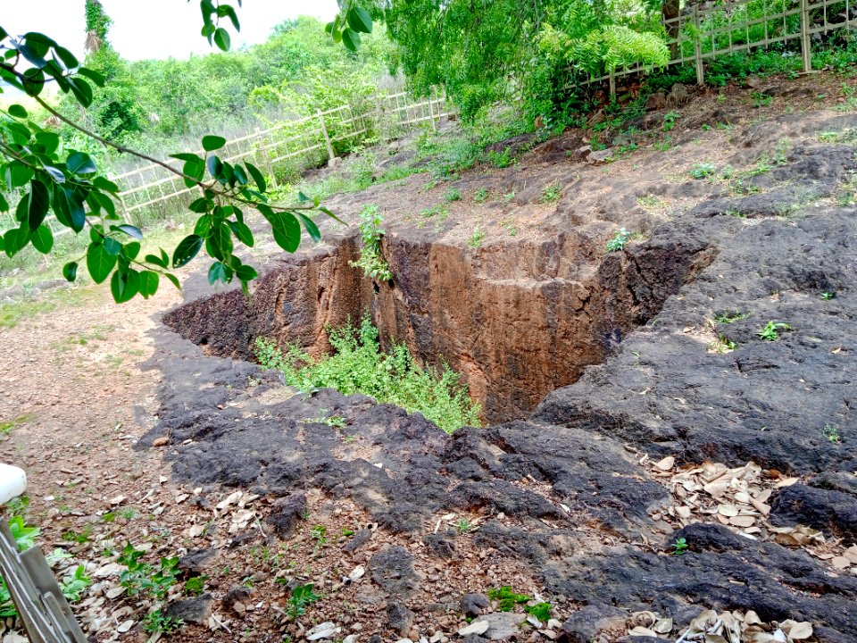 2nd_century_Buddhist_site,_well_and_inscriptions,_Kodavali_Andhra_Pradesh_-_16
