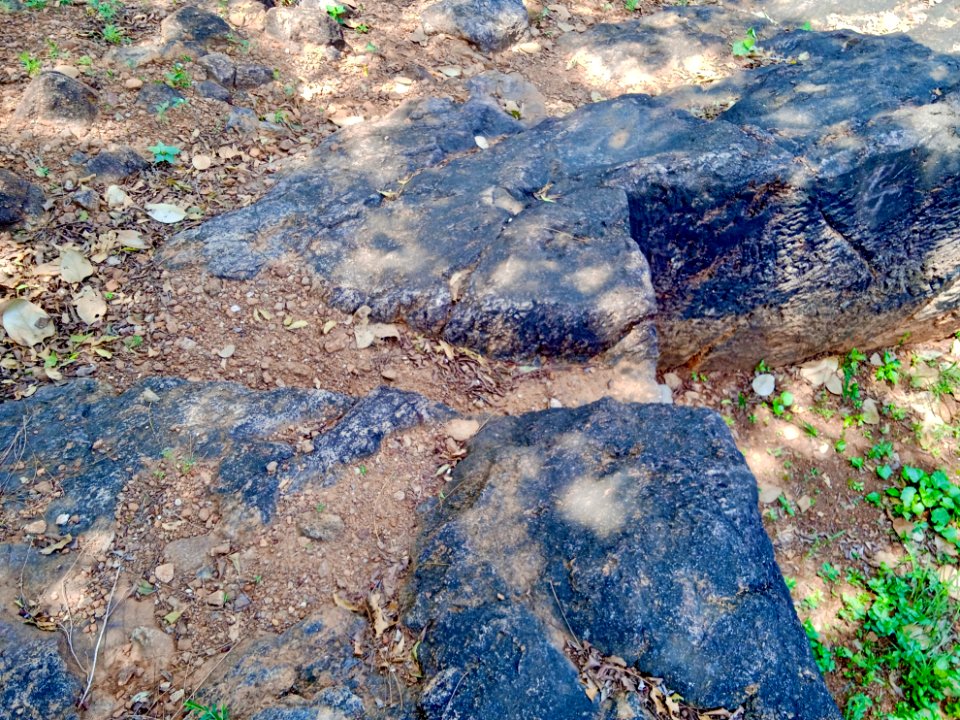2nd_century_Buddhist_site,_well_and_inscriptions,_Kodavali_Andhra_Pradesh_-_02
