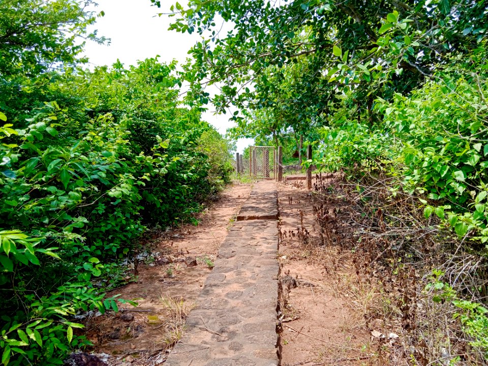 2nd_century_Buddhist_site,_Kodavali_Andhra_Pradesh_-_3