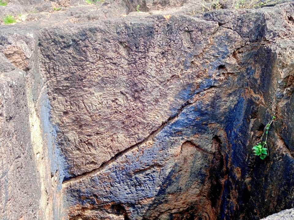 2nd_century_Buddhist_site,_well_and_inscriptions,_Kodavali_Andhra_Pradesh_-_11