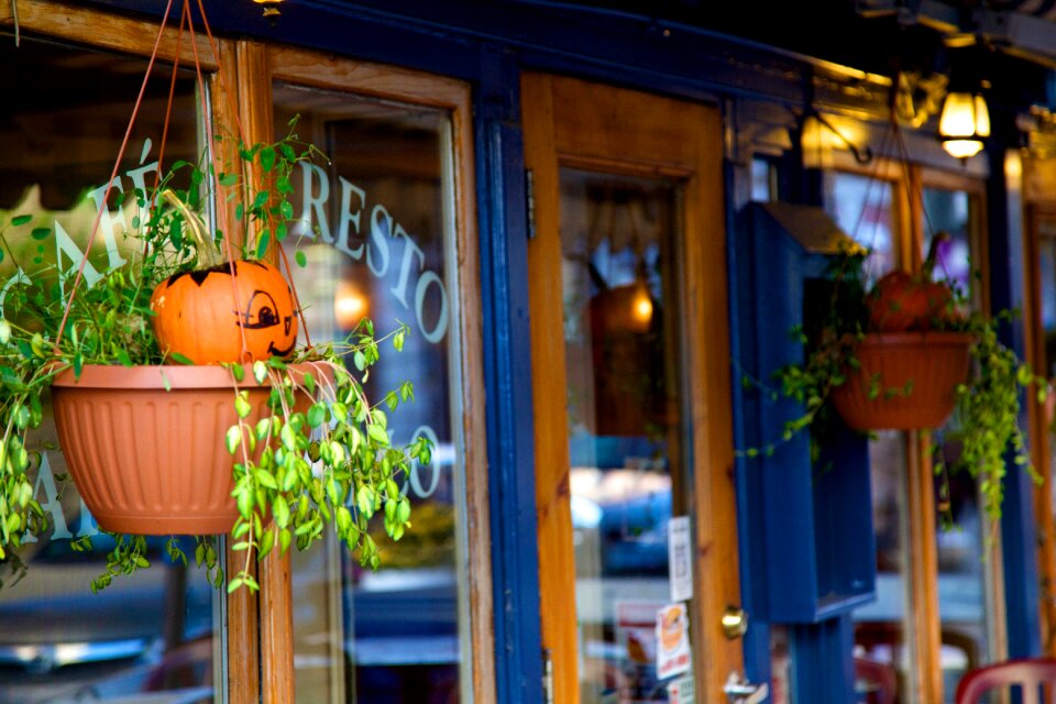 Pumpkin halloween fall