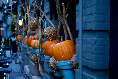 Halloween decorating pumpkin fall