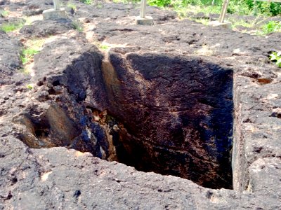 2nd_century_Buddhist_site,_well_and_inscriptions,_Kodavali_Andhra_Pradesh_-_08