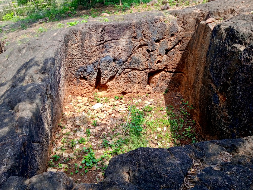 2nd_century_Buddhist_site,_well_and_inscriptions,_Kodavali_Andhra_Pradesh_-_07