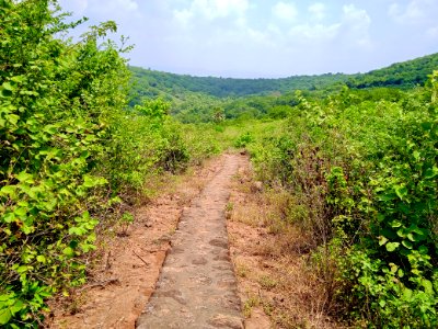 2nd_century_Buddhist_site,_Kodavali_Andhra_Pradesh_-_53