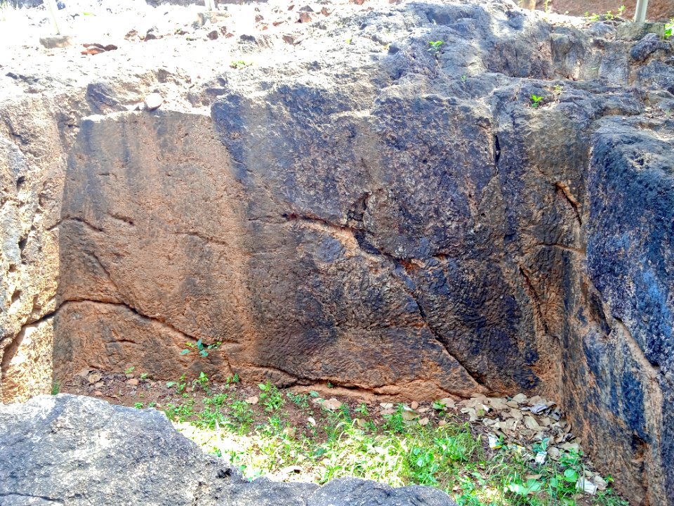 2nd_century_Buddhist_site,_well_and_inscriptions,_Kodavali_Andhra_Pradesh_-_06